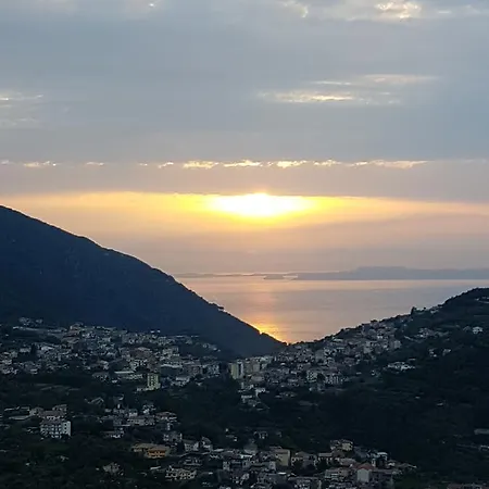 Zia Antonietta *