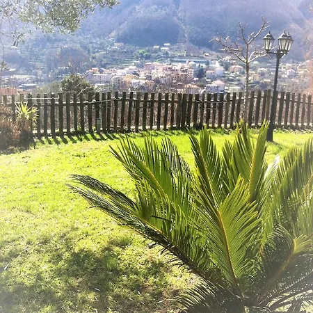 Zia Antonietta *