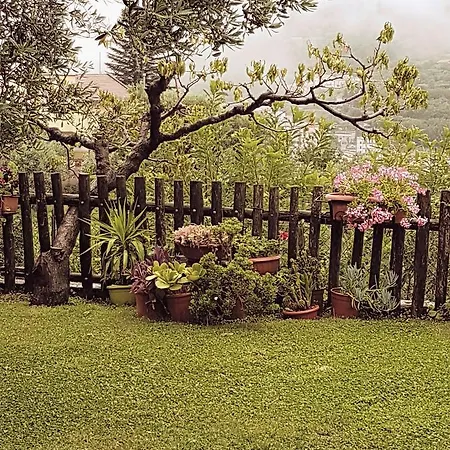 Zia Antonietta