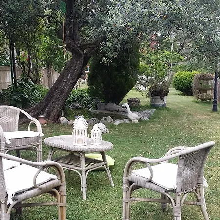 Zia Antonietta Couette-café *